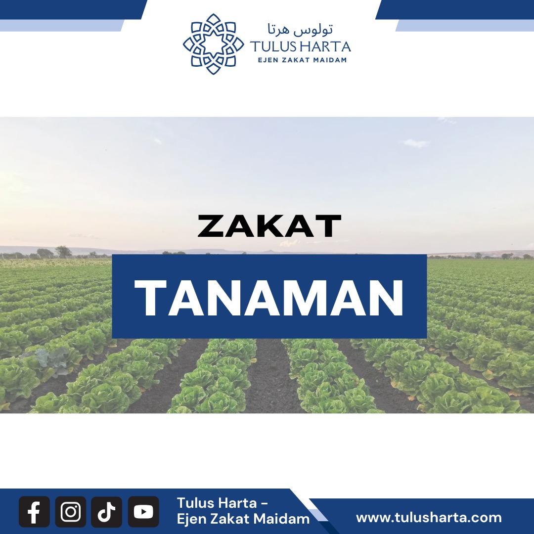 ZAKAT TANAMAN